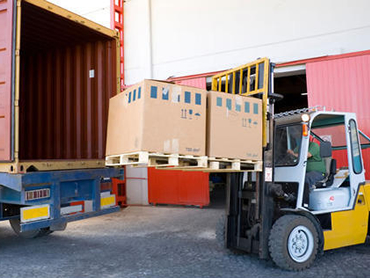 Architecture & Building